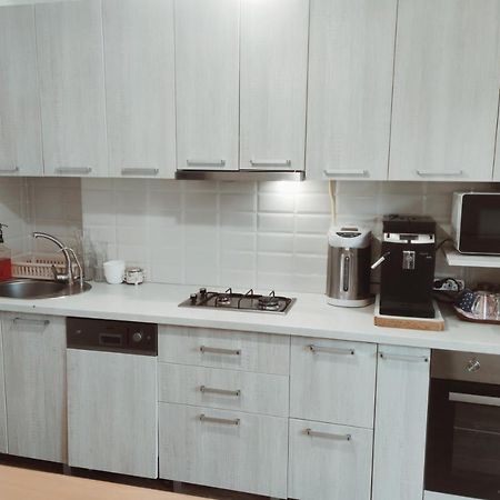 Appartement Inessa Center Guest Penthhouse à Chişinău Extérieur photo